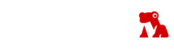 Logo-D-Shirt-2.png